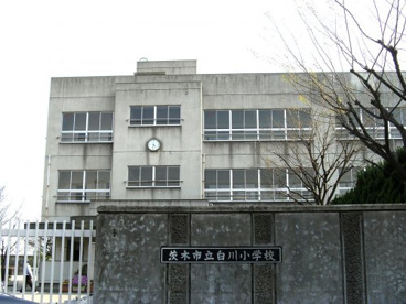 白川小学校の画像1