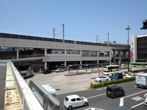 の画像