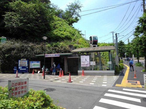 の画像