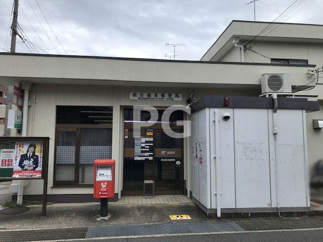 の画像