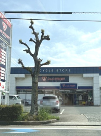 2nd STREET(セカンド ストリート) 牛川店の画像1