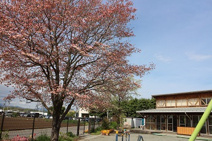深谷市おかべ幼稚園