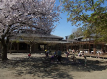 さくら保育園