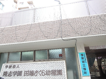 田端さくら幼稚園の画像2
