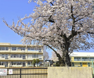 本庄市立　仁手小学校