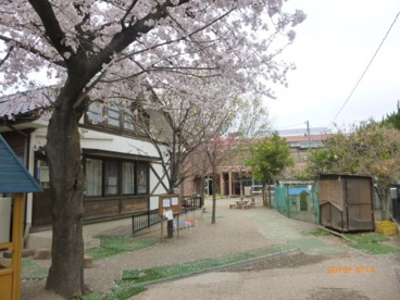 児玉保育園の画像1