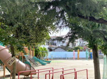 まことこども園