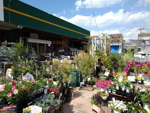 ユニディ 川口店情報ページ 浦和 川口の不動産 株式会社バンダイ