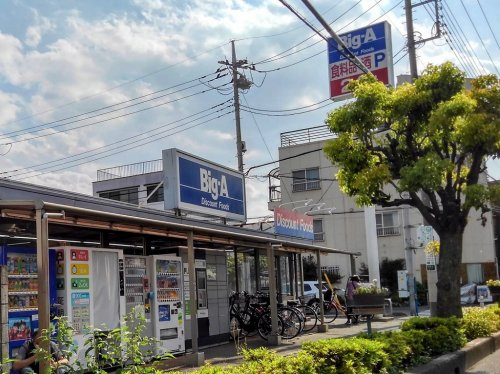 の画像