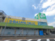 Zipドラッグ 白沢呼続店の画像
