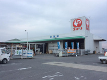 コメリハード&グリーン　児玉店