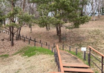 東京都立中藤公園