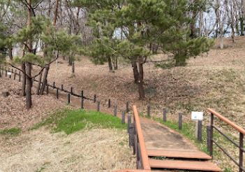 東京都立中藤公園の画像1