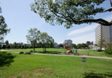 公園 金岡東第3公園