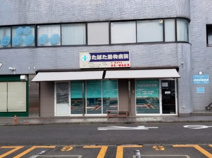 たばた動物病院