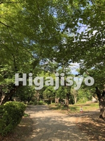 与野公園の画像1