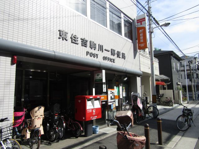 の画像