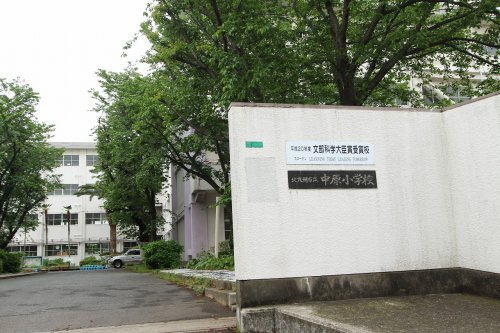 の画像