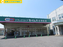 ドラックセイムス北羽生店