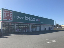 ドラッグセイムス　本庄児玉店