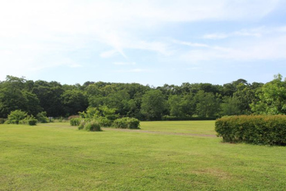 熊谷　荒川大麻生公園の画像1