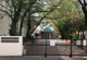 文京区立根津小学校の画像