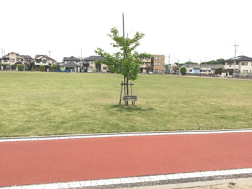 熊谷　籠原中央公園の画像1