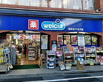 ウエルシア世田谷下北沢店の画像1