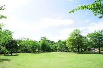 本庄　ふるさとフラワーパーク