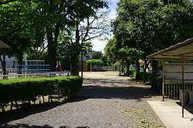 本庄　栄公園の画像1
