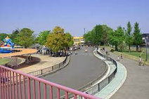 深谷　仙元山公園