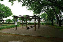 深谷　つばき公園