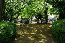 深谷　三島公園