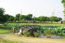 深谷　中宿公園