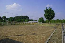 深谷　植木の里公園