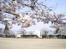 つくば市立桜南小学校