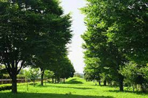 上里　にしはら橋公園