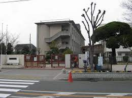 の画像