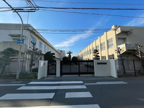 の画像