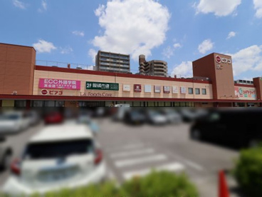 ピアゴラフーズコア三河安城店の画像1