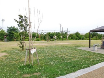 健都レールサイド公園の画像2
