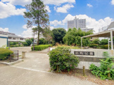 砧町公園