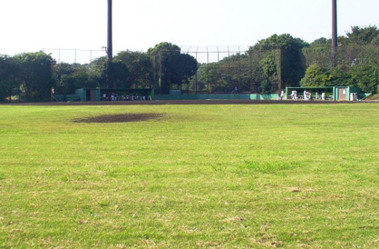 大井中央公園野球場の画像1