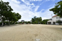 公園 上田公園