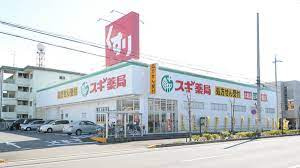 スギドラッグ 向山店の画像1