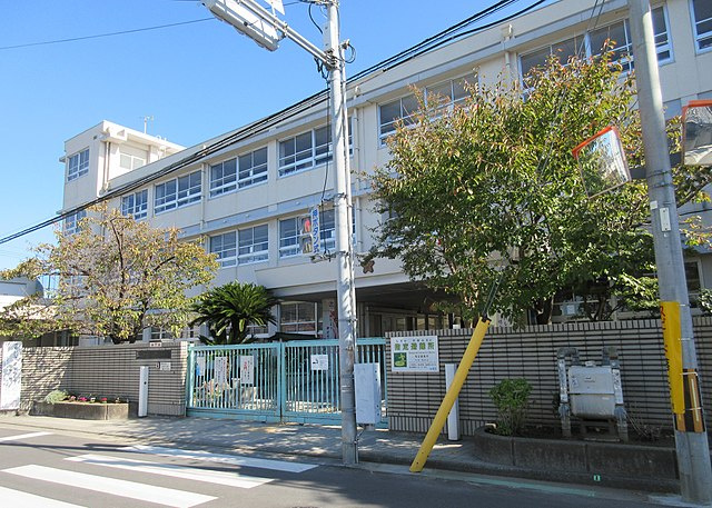 の画像
