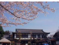 本願寺中央幼稚園の画像1