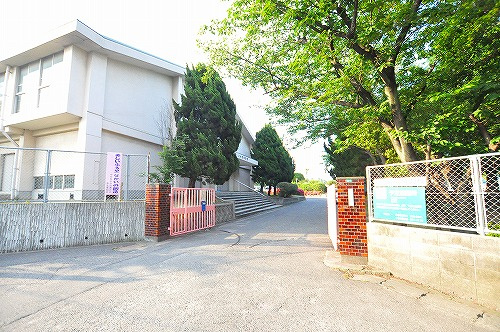 の画像