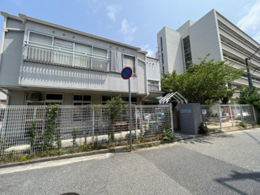 つぼみの子保育園の画像1