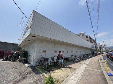 サンディの画像1